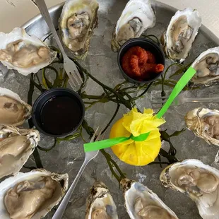 Oysters