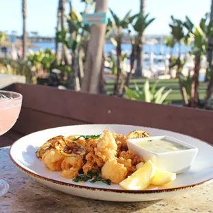 Calamari with Lemon Garlic Aioli