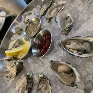 oysters and mussels, oysters, food, shellfish, mussels