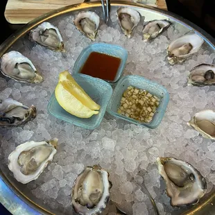 Raw Oyster