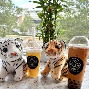 Tide Sugar Boba Tea