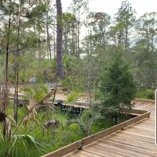 Views of the preserve.