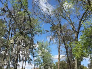 Willowbranch Park