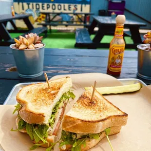 Charlies Sammy on the back patio