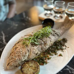 Whole red snapper
