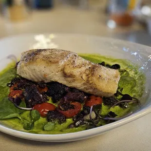 Halibut