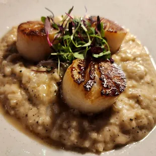 Scallop Risotto