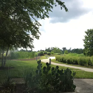 They landscaped this place so nicely