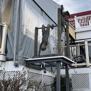 a statue of a man on a balcony