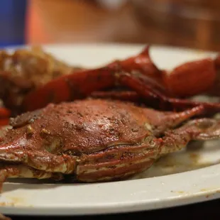 Looks delish, right?