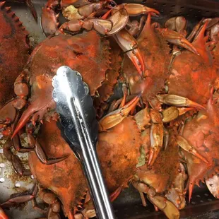 Steamed large Blue Crabs