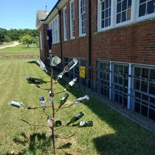 a tree made of wine bottles