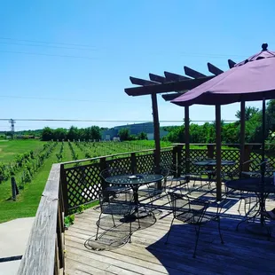 Patio and vineyard