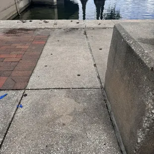 Sampling everything at lake Eola.