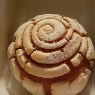A concha from the panadería