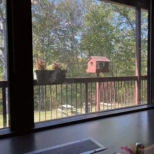 a view of a backyard through a window