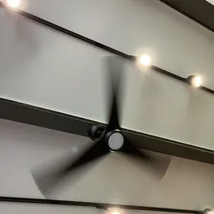 a ceiling fan with lights