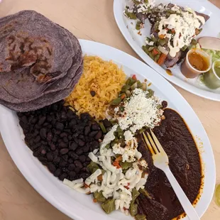 Mole Plate (nopalito) with blue corn tortilla