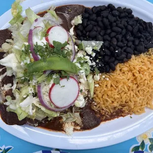 Mole enchiladas