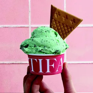 a hand holding a cup of ice cream