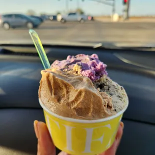 a hand holding a cup of gelato