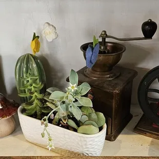 vintage coffee bean grinders
