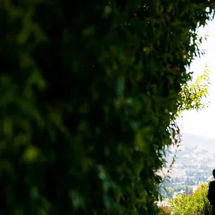 photo courtesy of Duy Ho Photography