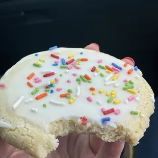 Iced sugar cookie with sprinkles