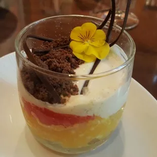 Passion fruit tapioca créme- chocolate crumble, citrus fruits