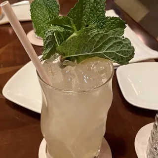 Snow Leopard Salvation