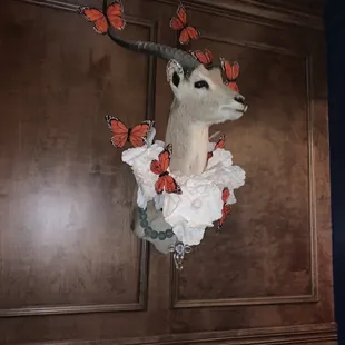 Decor