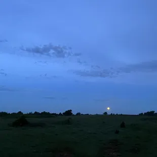 View from back of hut