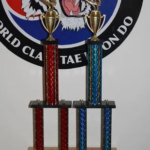 Family Championship 2015
Family form trophies