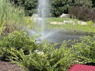 Village Park