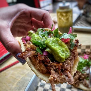 Carnitas Tacos