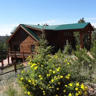 sunny midsummer day at TihsreeD Lodge