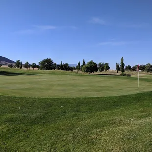 Nice greens this time of year