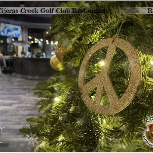 Private Event: COSTCO Holiday Party (12.05.21)