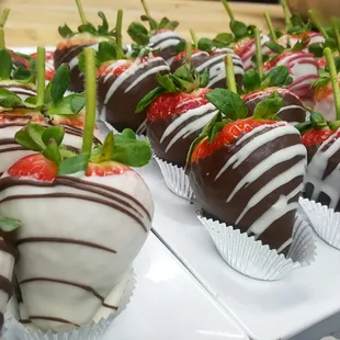 sashimi, food, sushi and sashimi, sushi