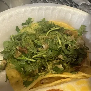 Taco se cilantro