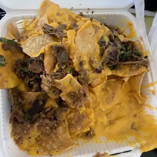 Asada nachos
