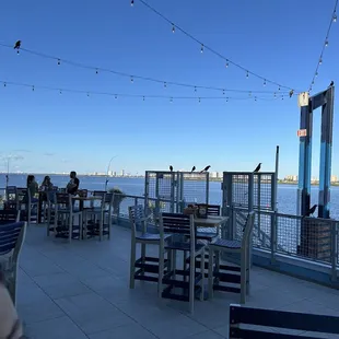 Crows everywhere flying around