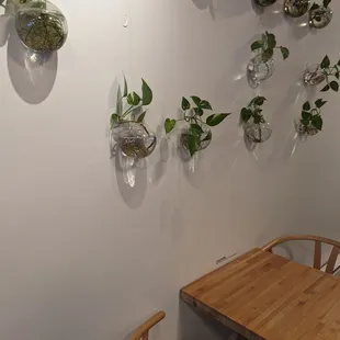 Interesting Decor