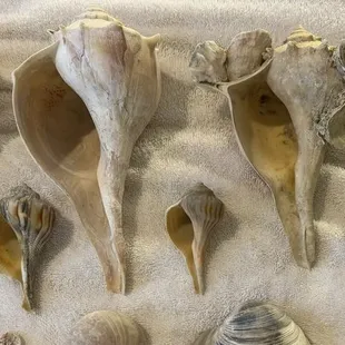 A few of our favorite finds!