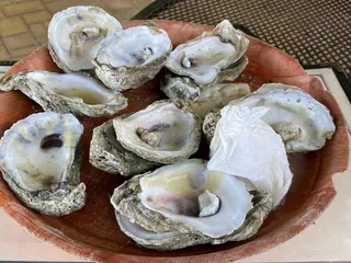 Magnolia's Oyster Bar & Cafe