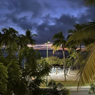 The view