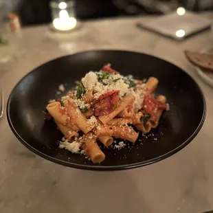 Rigatoni Bolognese