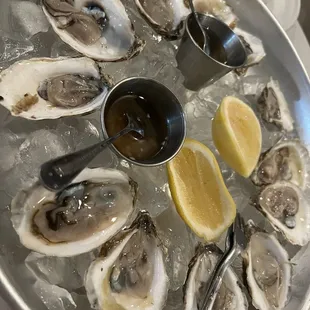 Oysters