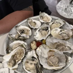 Oysters