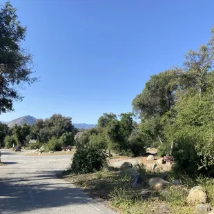 Inside the campground. Mid-week, May, 2024.